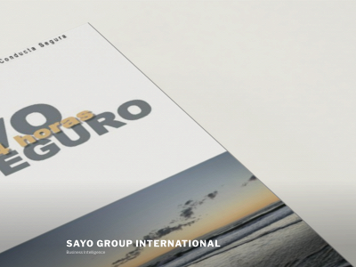 sayogroupinternational.com snapshot