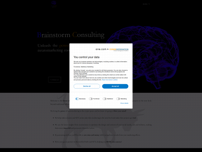 brainstorm-consulting.com snapshot