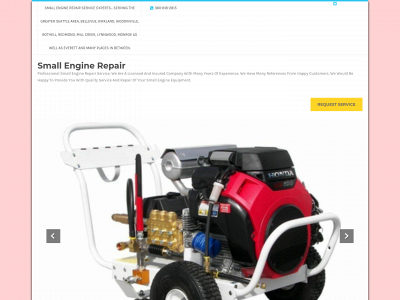 northstarcleaning.org snapshot