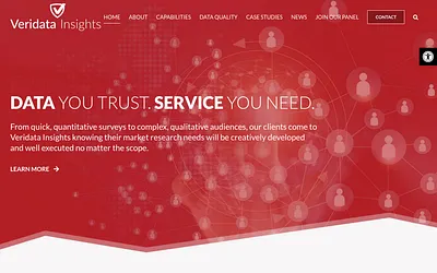 veridatainsights.com snapshot