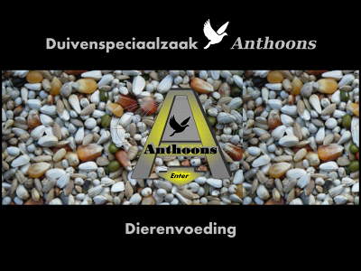 anthoons.com snapshot