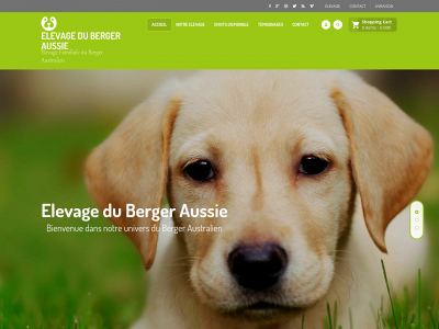 elevage-du-berger-aussie.fr snapshot