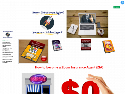 www.zoominsuranceagent.com snapshot