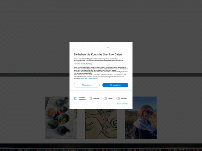 bauterrakotta.de snapshot