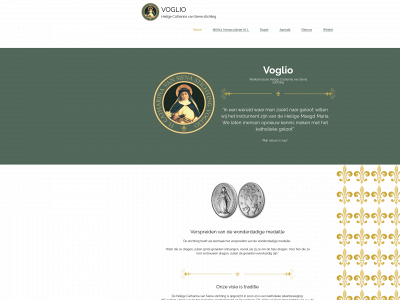 hcvs-stichting.nl snapshot