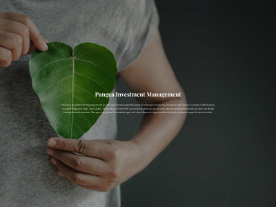 pangeaim.se snapshot