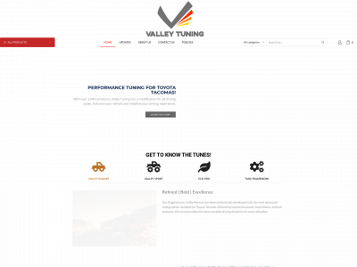 valleytune.com snapshot