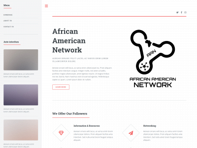 africanamericannetwork.net snapshot