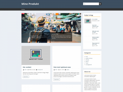 mineprodukter.site snapshot