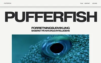 pufferfish.it snapshot