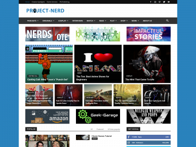 project-nerd.com snapshot