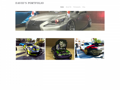 portfoliofordavid.weebly.com snapshot
