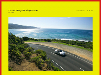 duanesdrivingschool.com snapshot