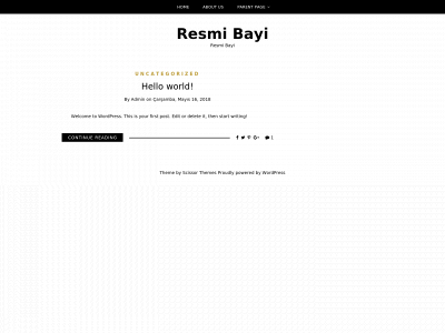 resmibayi.com snapshot