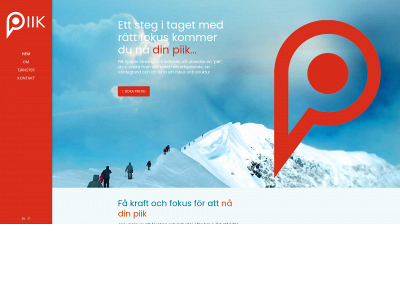 piik.se snapshot