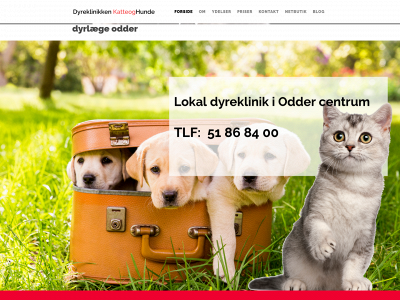 dyreklinikkenkatteoghunde.dk snapshot