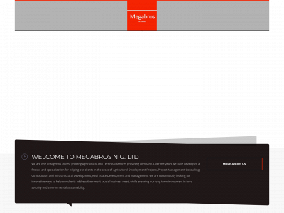 megabrosgroup.com snapshot