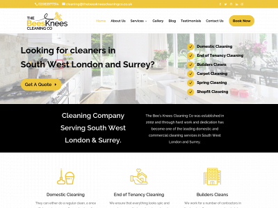 thebeeskneescleaningco.co.uk snapshot