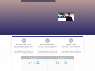wilsoninspected.com snapshot
