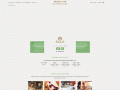 avignonesi.it snapshot