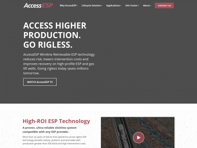 accessesp.com snapshot
