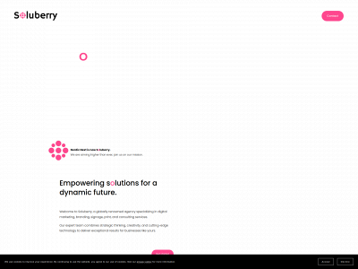 soluberry.com snapshot