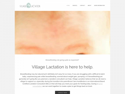 www.villagelactationnashville.com snapshot