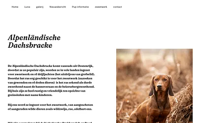 alpenlandischedachsbracke.nl snapshot