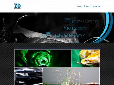 zd-foto.com snapshot