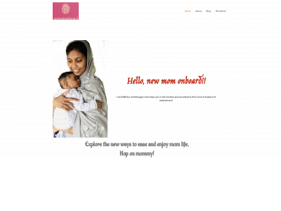 newmomonboard.com snapshot