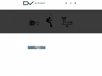 dypvest.no snapshot