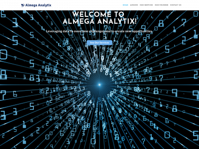 almega-analytix.com snapshot