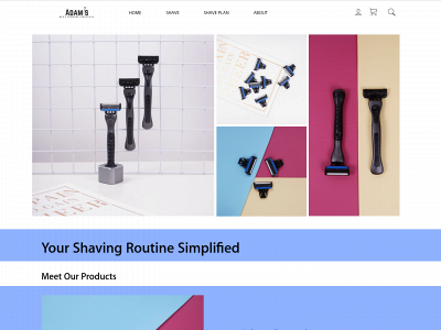 adamsgrooming.com snapshot