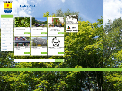laiconas.lt snapshot