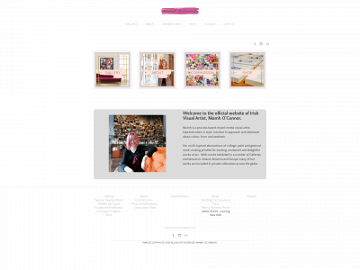 www.niamhoconnorart.com snapshot