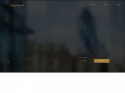 voguepayroll.com snapshot