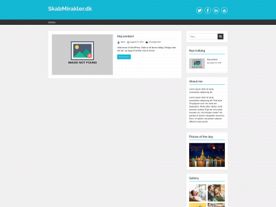 skabmirakler.dk snapshot