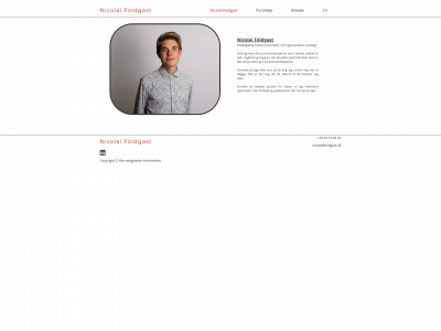 nicolaifoldgast.com snapshot