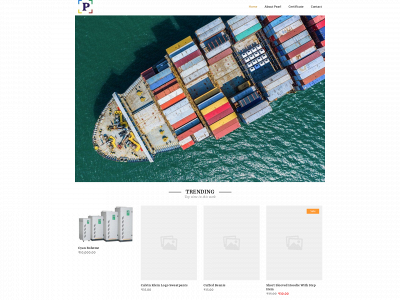 pearlinternationalexport.com snapshot