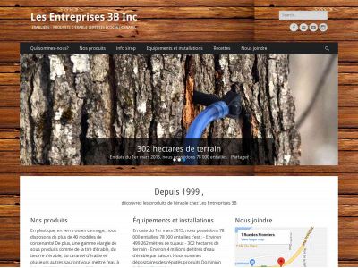 entreprises3b.com snapshot
