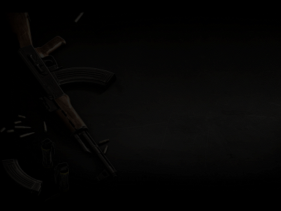 targetproguns.com snapshot