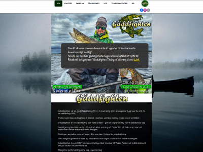 gaddfighten.se snapshot