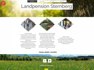 cafe-pension-sternberg.de snapshot