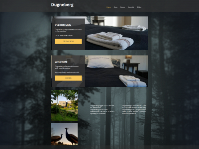 dugneberg.com snapshot