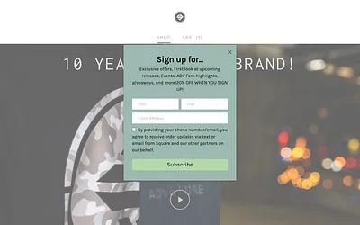 www.advstudiosusa.com snapshot