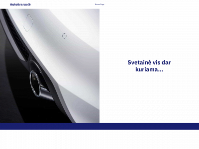 autosvaruole.lt snapshot
