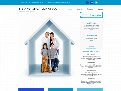 tuseguroadeslas.es snapshot