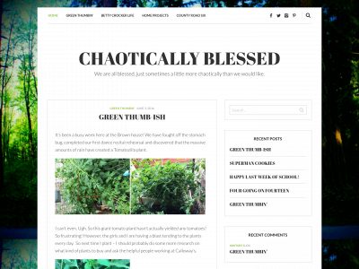 chaoticallyblessed.com snapshot