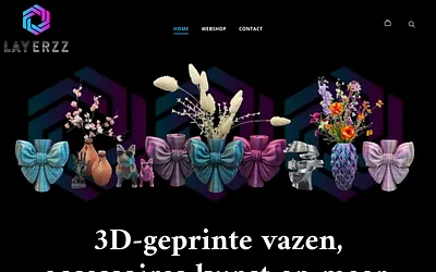 layerzz.nl snapshot