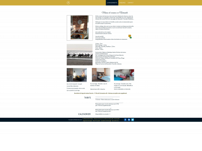 alicefernandesdc.com snapshot